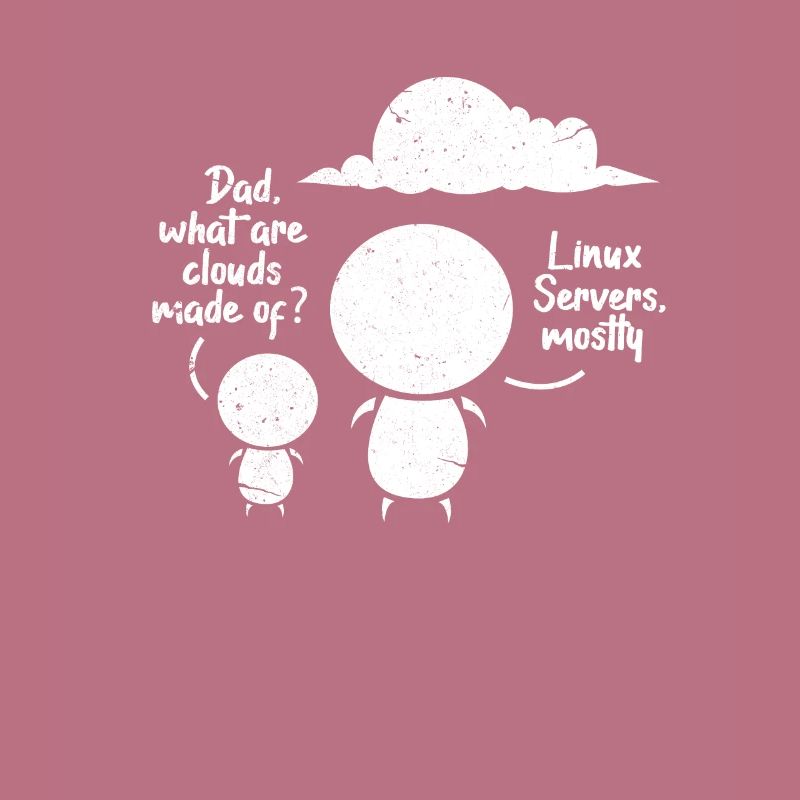 Softwareentwickler Programmierer Software Linux