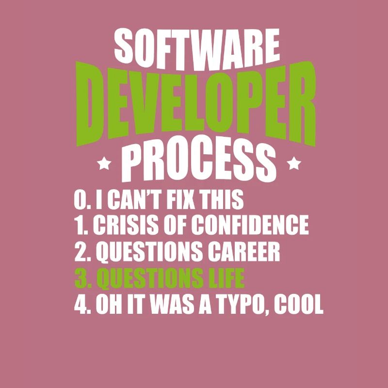 software developer