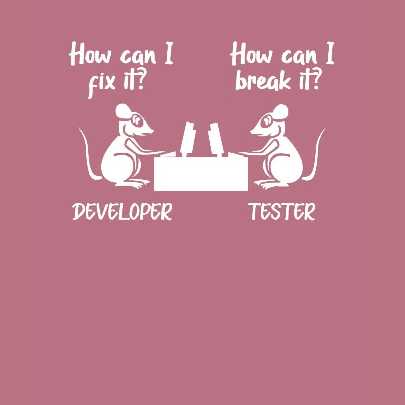 Softwareentwickler Programmierer Software