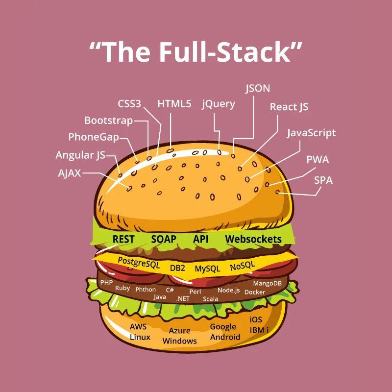 Computer Programmer Coders Software Burger Lovers