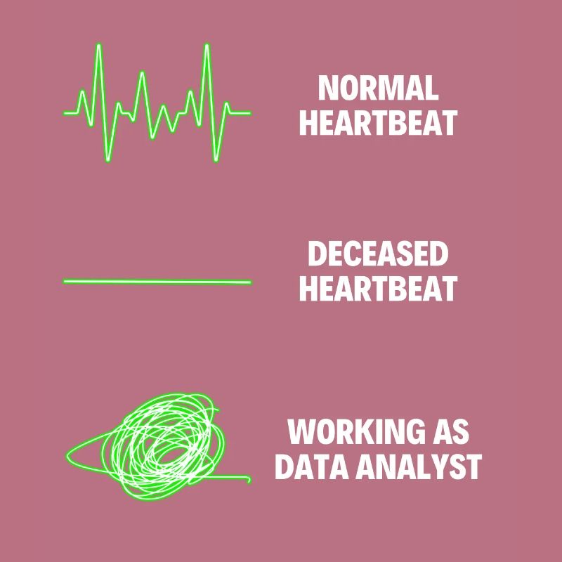 Data Analyst Data Analytics Worker Web Developer