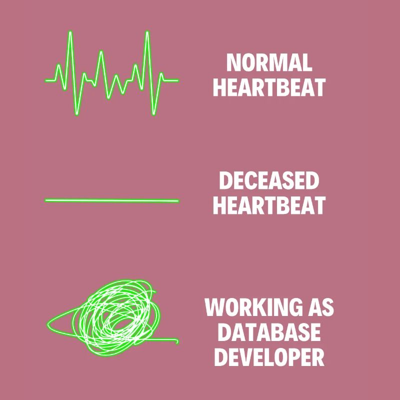 Database Developer Web Developer Technology Field