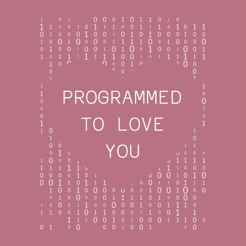 Developer Coder Programmer