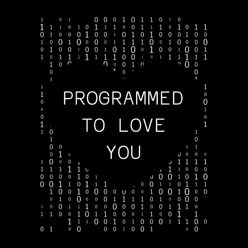 Developer Coder Programmer