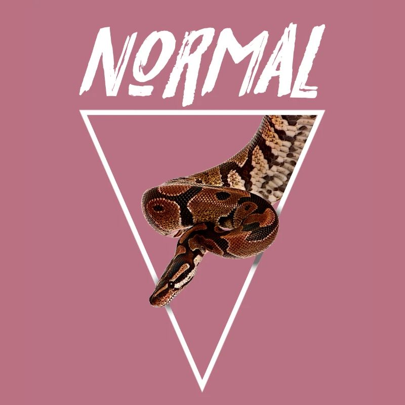 Normal Ball Python Morph Snake Owner