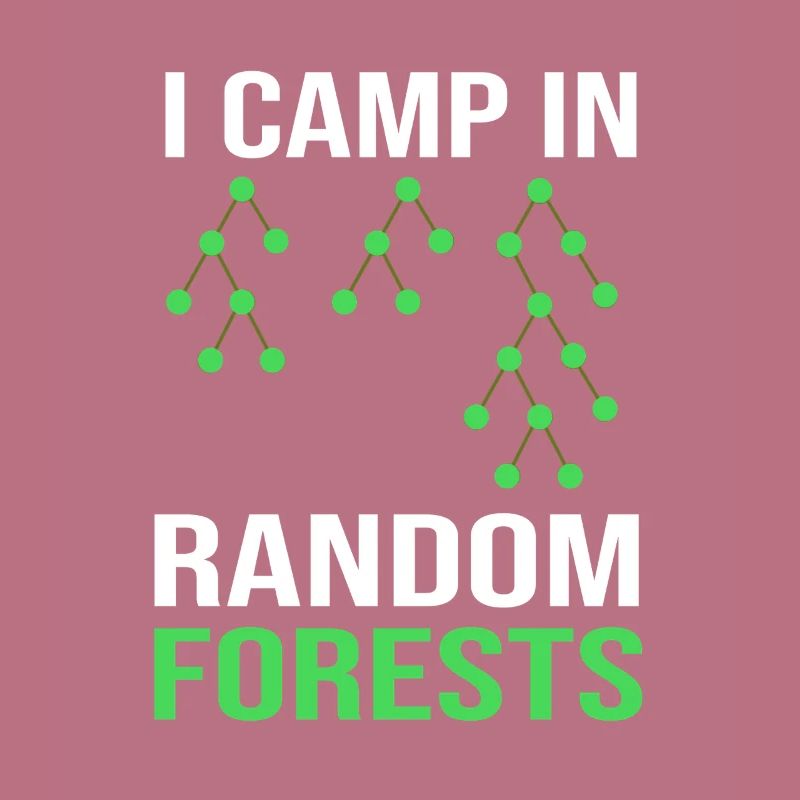 Programmierer Coder GPT