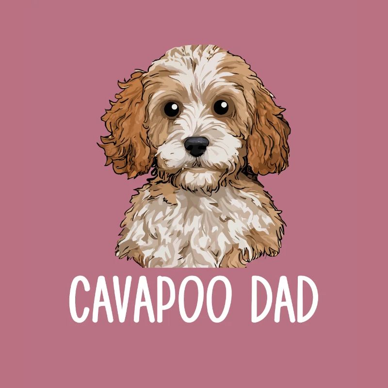 Cavapoo Papa, Cavapoo