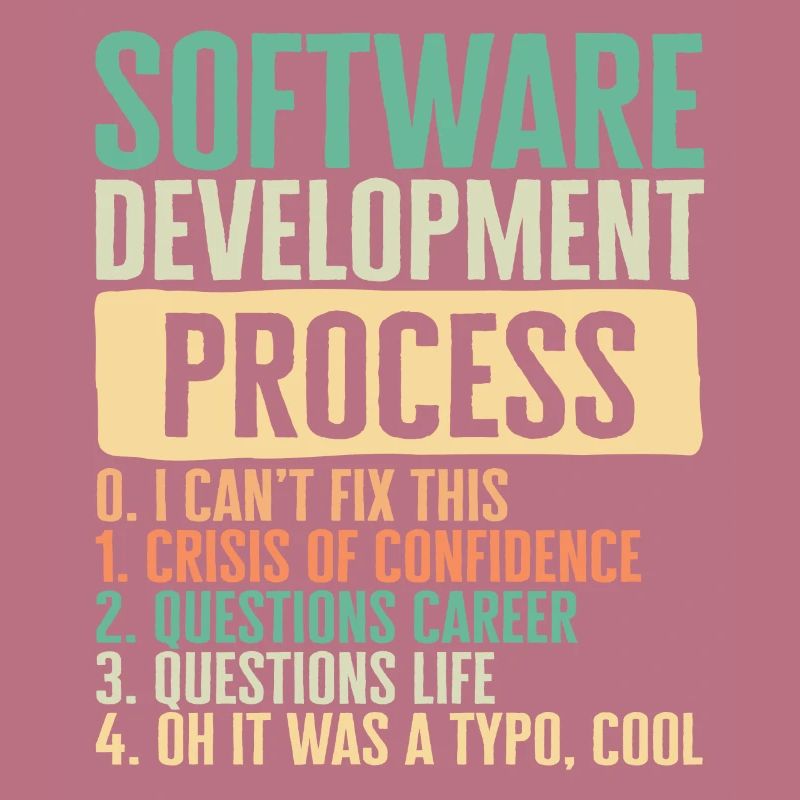 Programmer Shirt, I Software Development Process