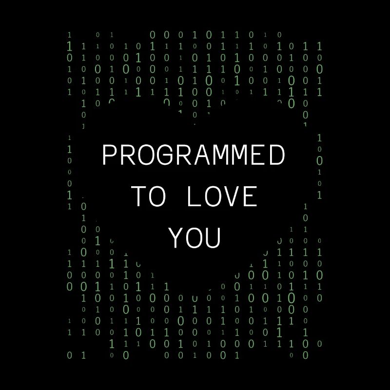 Developer Coder Programmer