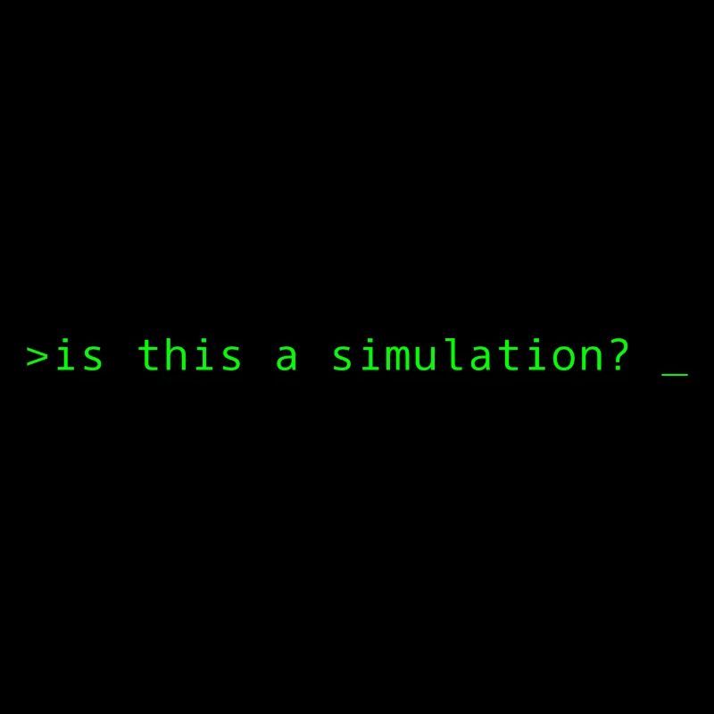 Simulation Programming Informatic Gift Saying