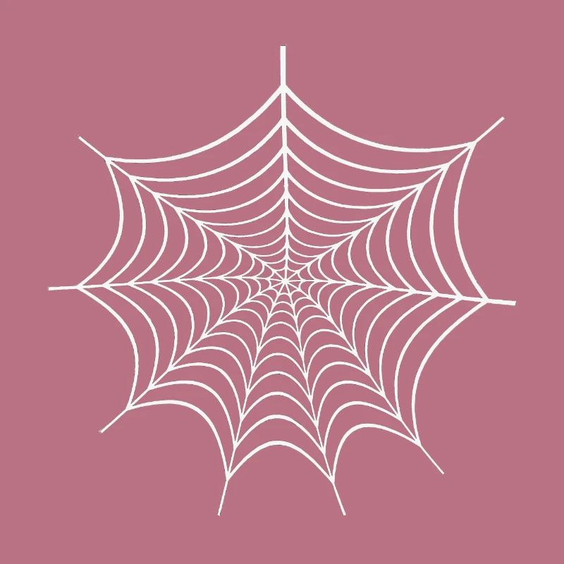 Spider Web - comic gift Spiderman spider web