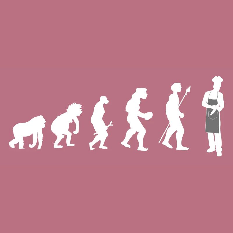 KochKoch Evolution