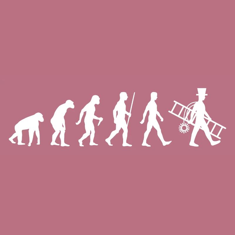 Schornsteinfeger Evolution Kaminfeger
