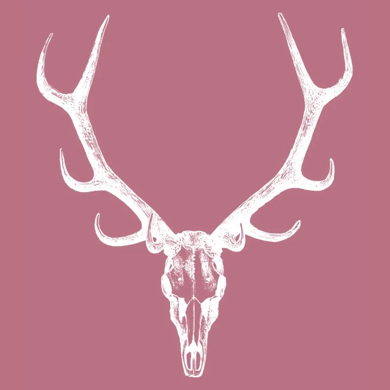 Deer antlers