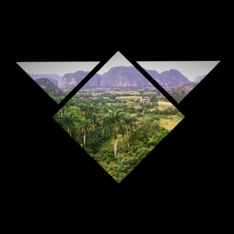 Triangular Steppe