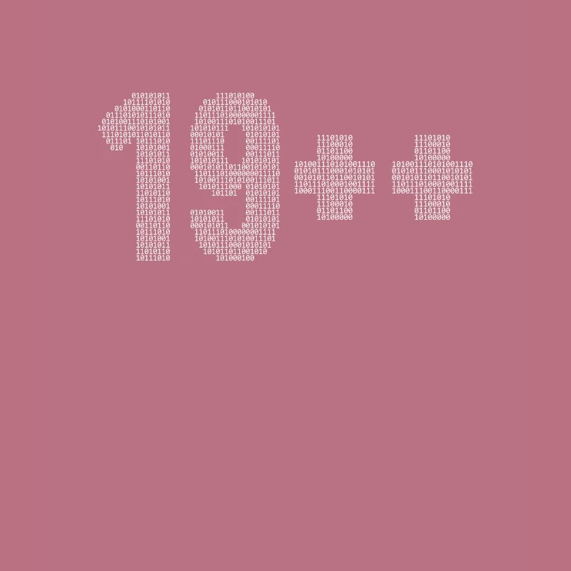 19++ Programmierer Softwareingenieur Coder 20.