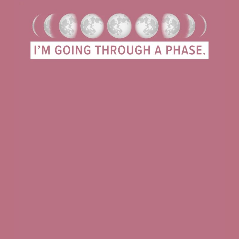 I'm Going Through A Phase Lunar Eclipse Moon Phase