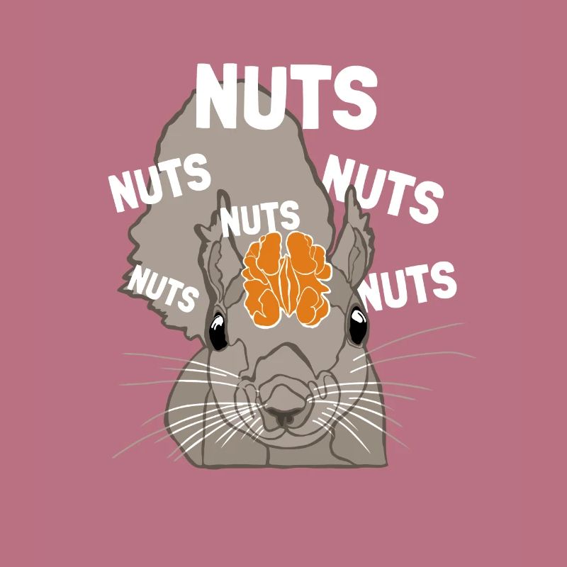 Nuts Brain Fox Squirrel Grey Squirrel