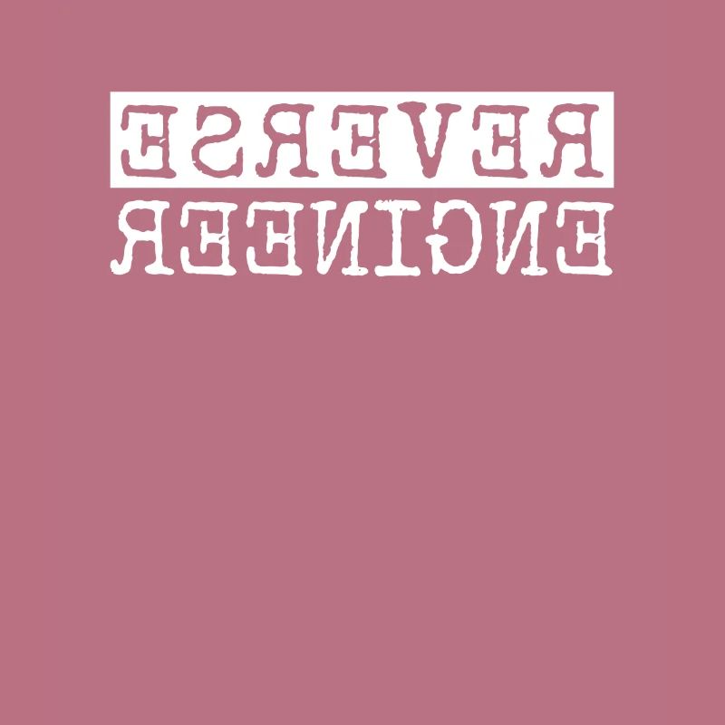 Reverse Engineer Softwareingenieur Developer