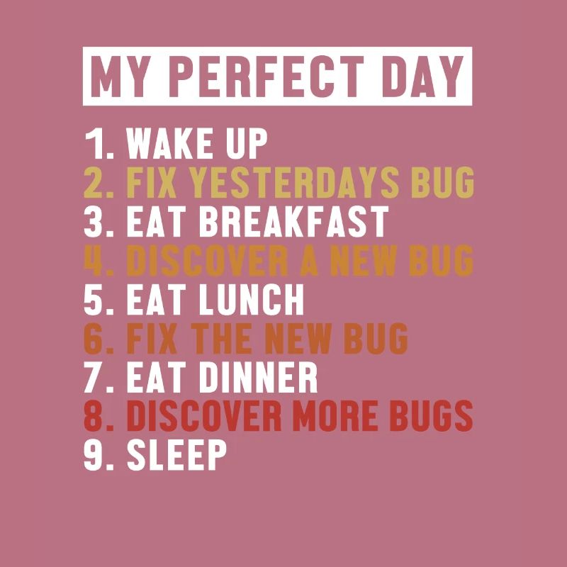 Fix Bugs Perfect Day Developer Coder Programmer