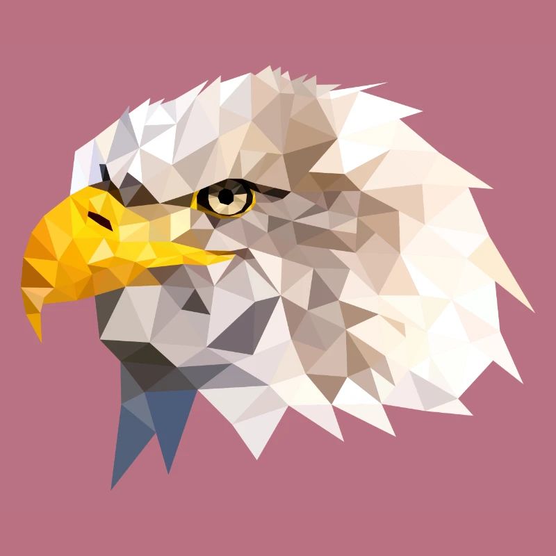 Bald Eagle Sea Eagle American Eagle Eagle