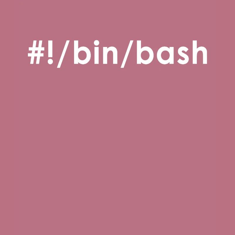 Programmer Admin Devops Linux Bash