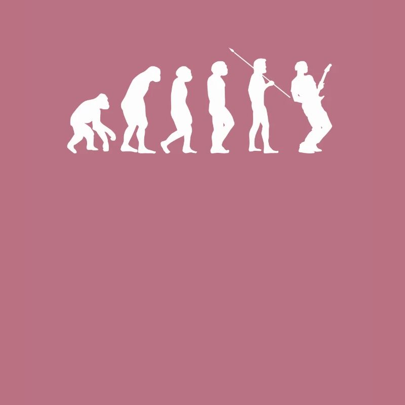 Guitare Guitar evolution Evolution