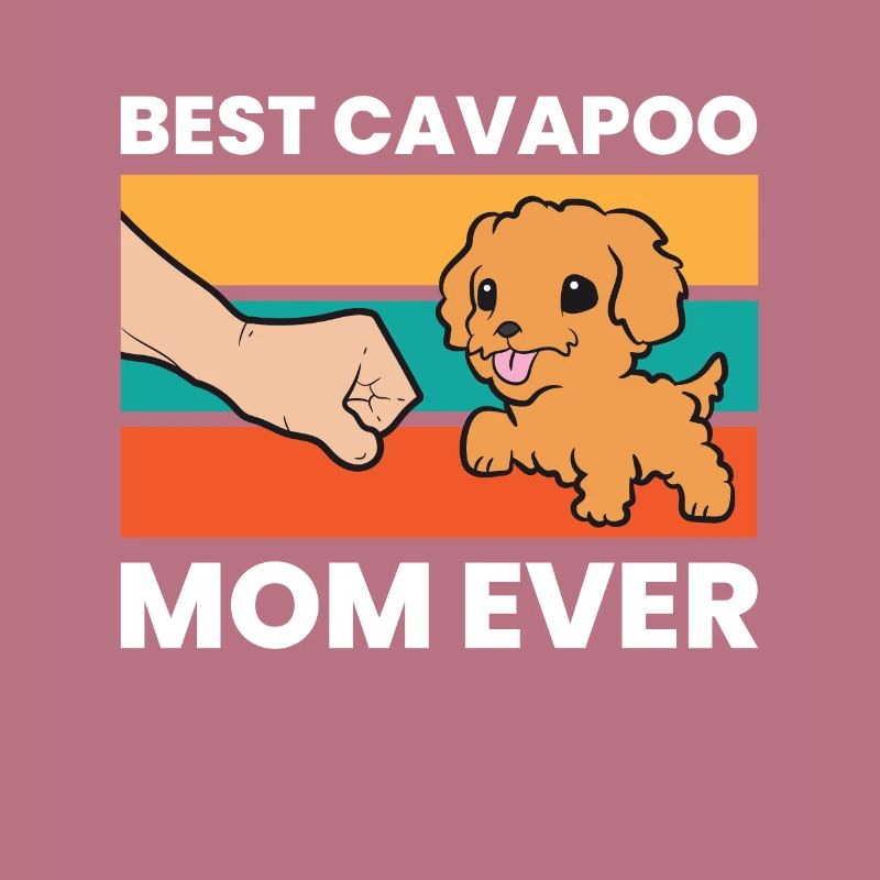Cavapoo Hund Mama Cavoodle Beste Cavapoo Mama
