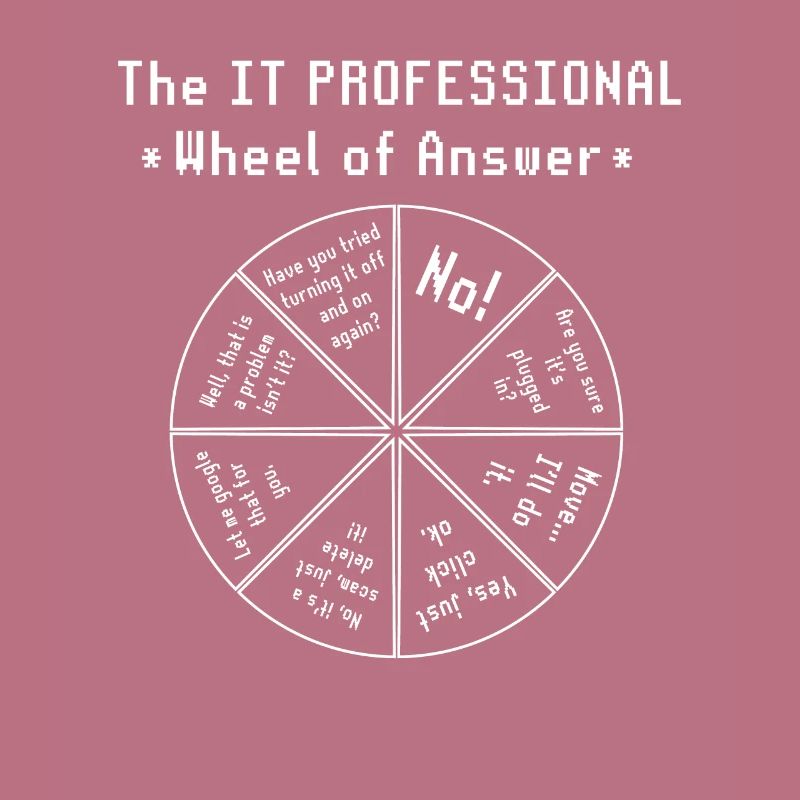 The IT Professional Computer Software Programmer