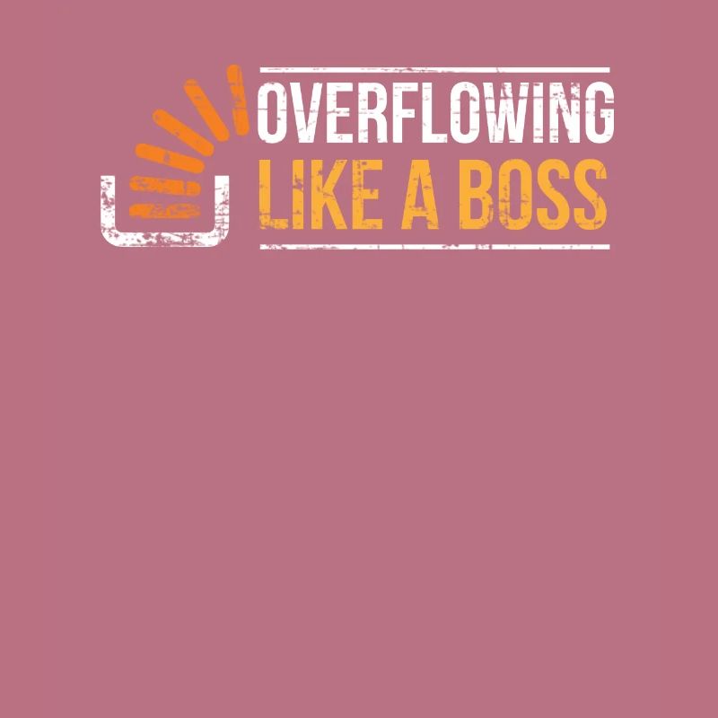 Stackoverflow Programmierer