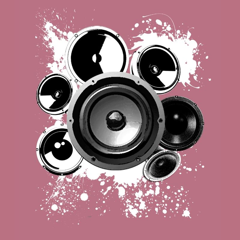 Speaker loudspeaker construction Hifi reference class techno