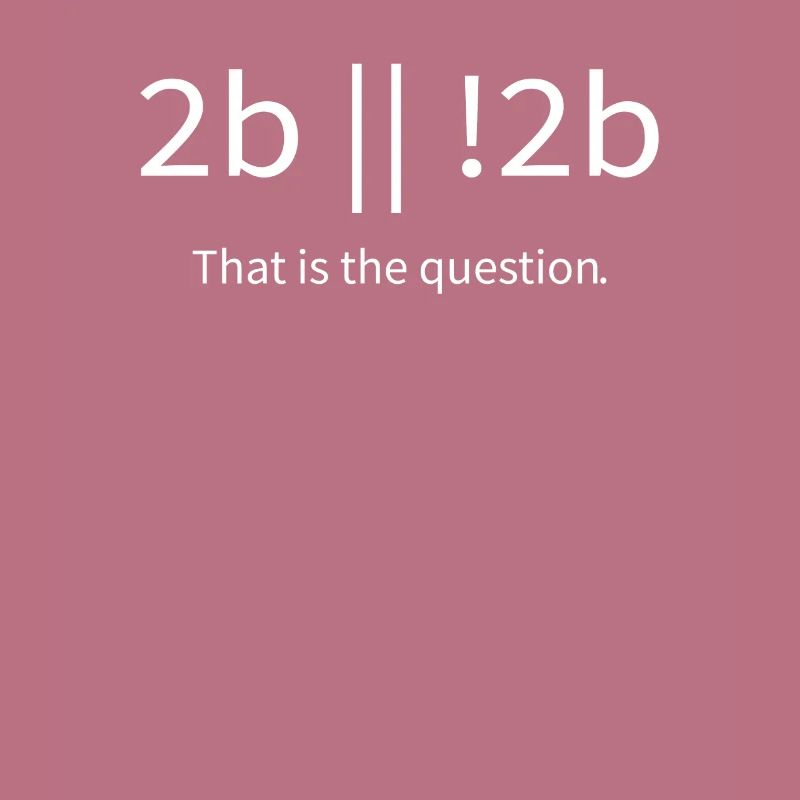 2b lustiger cooler Programmierer sein oder nicht sein