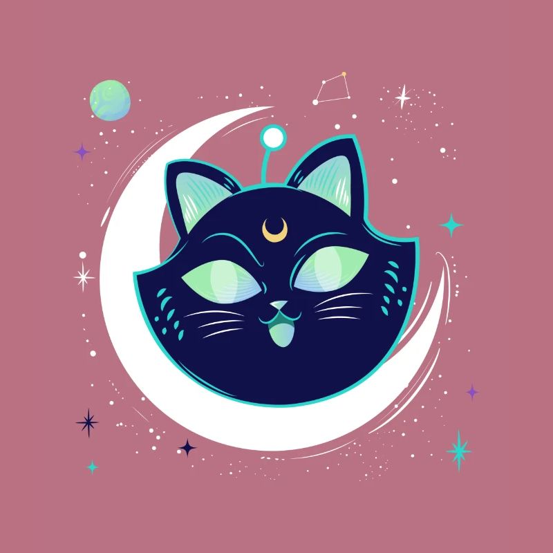 Galaxy Space chat avec lune dans l’espace