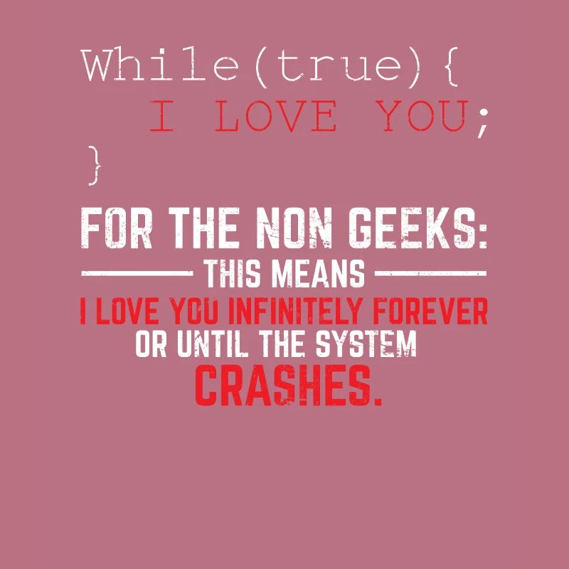 Funny Geek Lover Software Engineer Programmer Deve