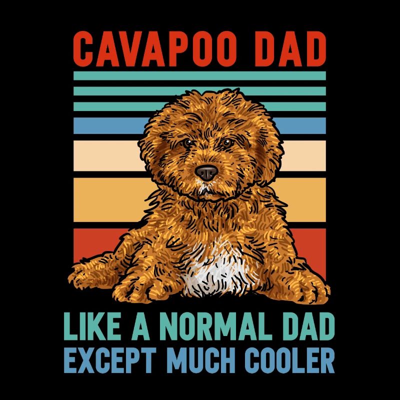 Cavapoo Cavoodle Capoodle Hund