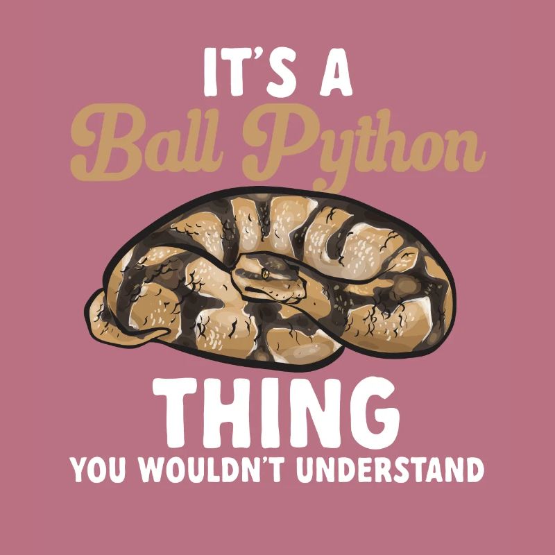 Ball Python Schlange Königspython