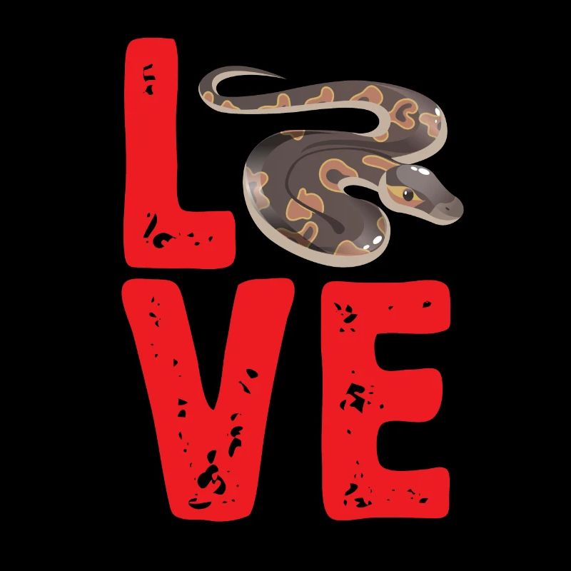 Ball Python Schlange Königspython