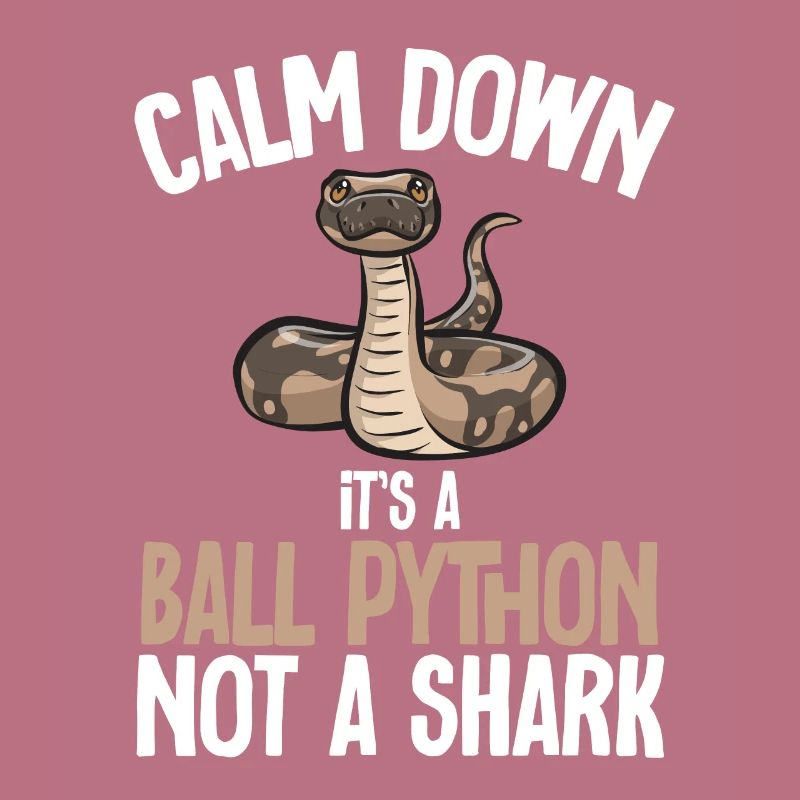 Ball Python Snake King Python