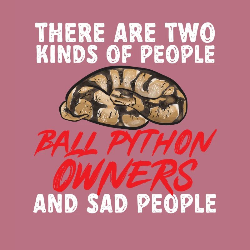 Ball Python Snake King Python