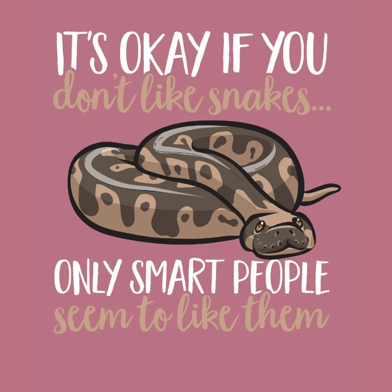 Ball Python Snake King Python