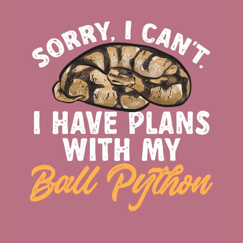 Ball Python Snake King Python