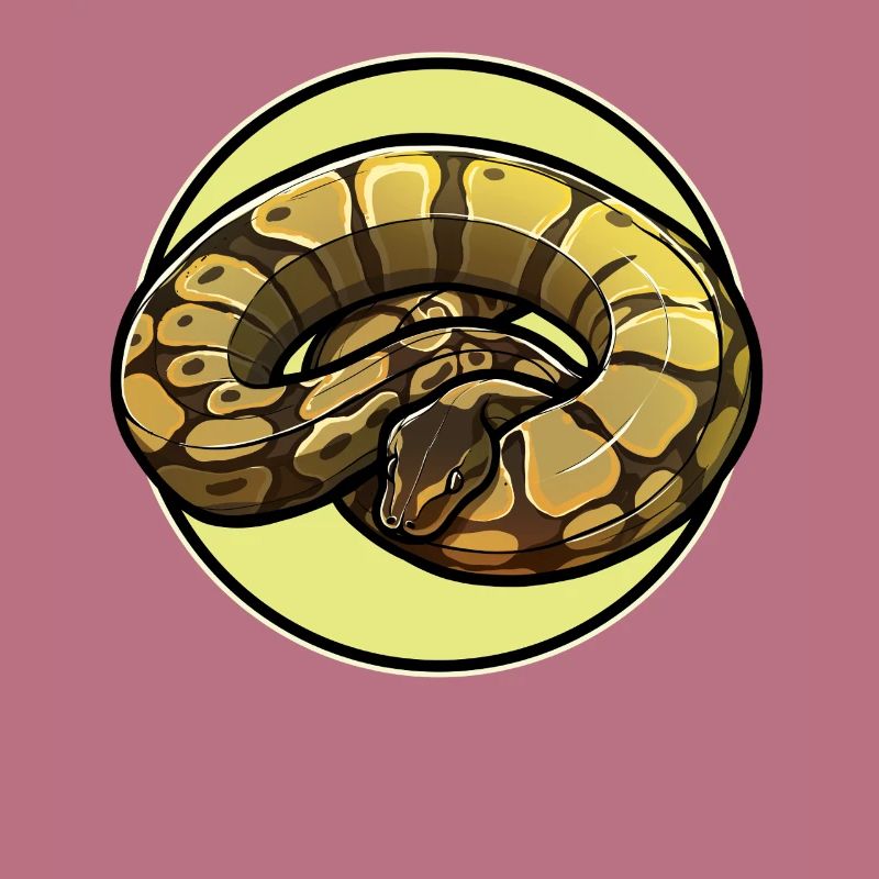 Ball Python Roi Python Roi Python