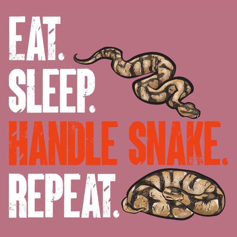 Ball Python Snake King Python