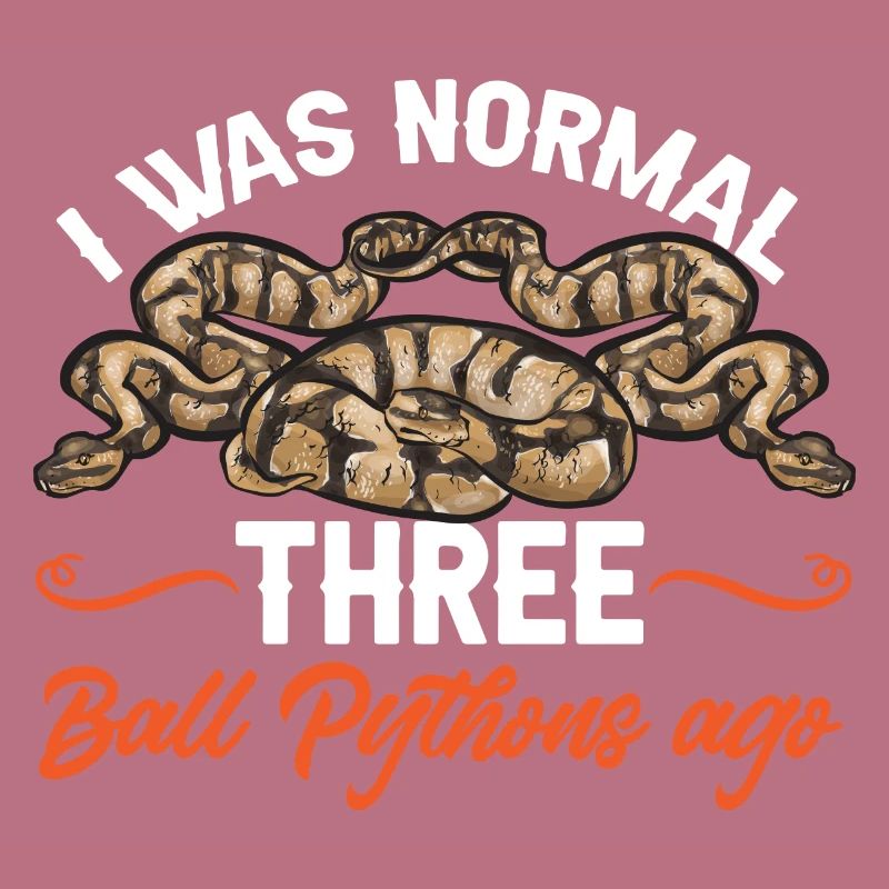 Ball Python Snake King Python