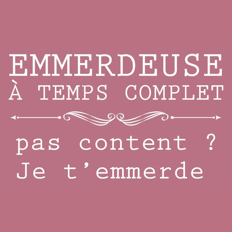 Moi Une Emmerdeuse A Temps Complet