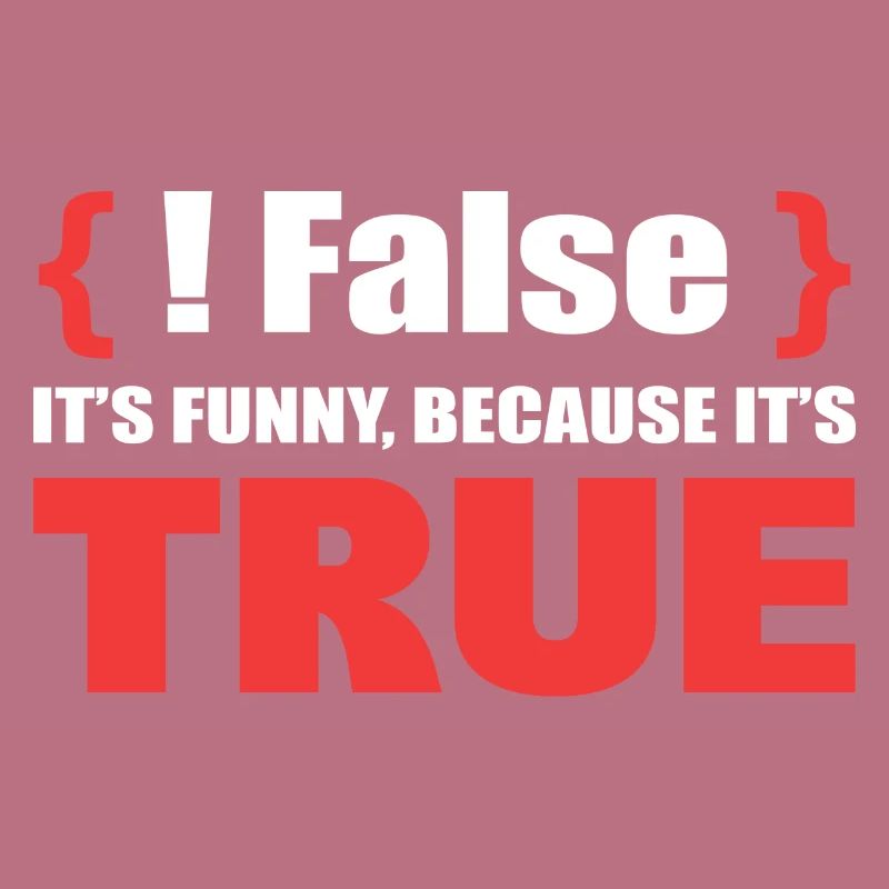 False It's Funny Because It's True Programmierer