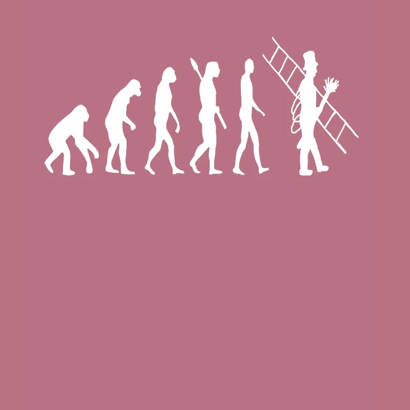 Évolution du ramoneur Évolution du ramoneur