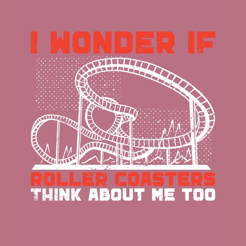 Roller Coaster Amusement Park Roller Coaster Ride