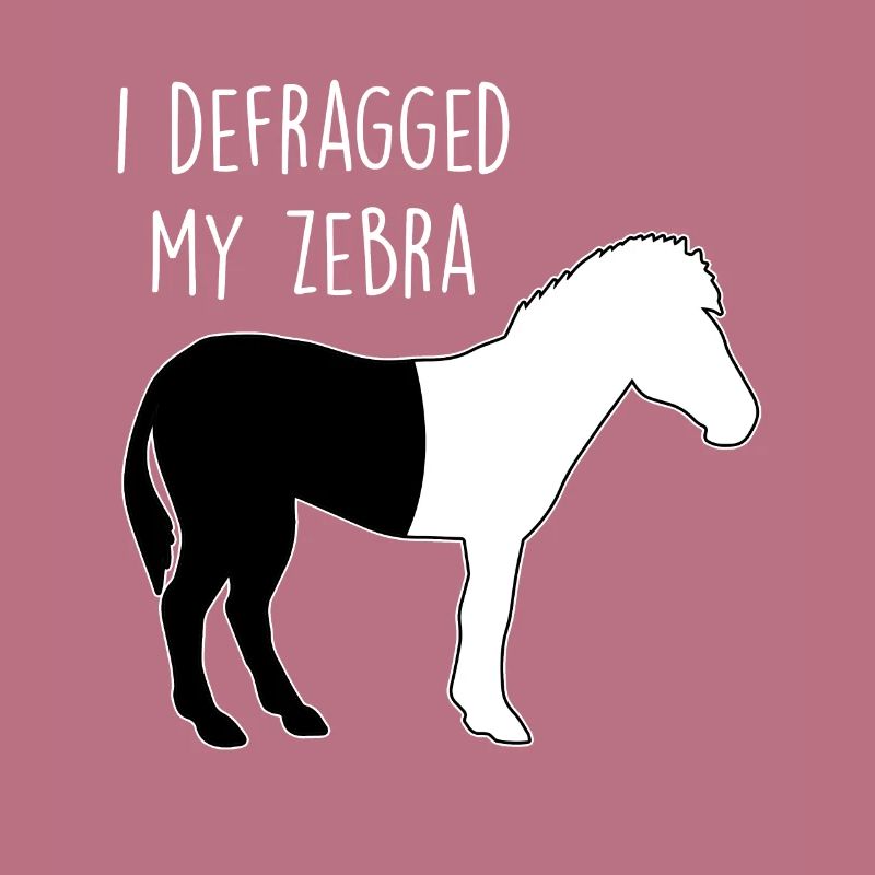 I defragged my Zebra Coder Informatiker Hacker