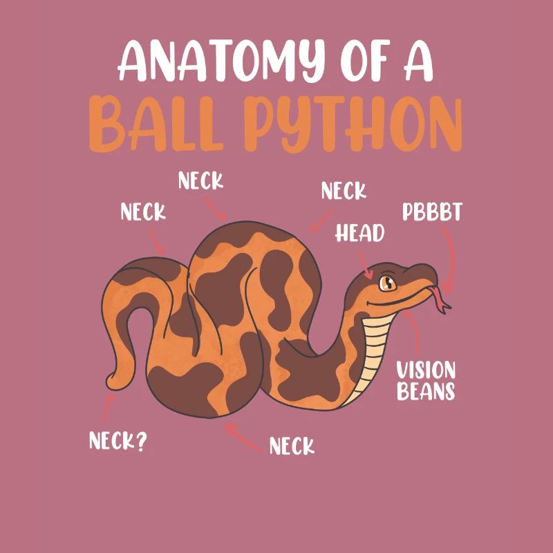 Schlangen Anotomie einer Königspython Ball Python